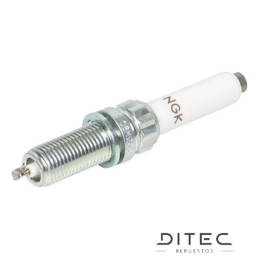 TAPON CARTER ACEITE EVOQUE